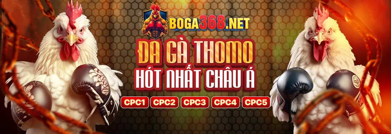 Sân chơi đá gà trực tiếp Betvisa88